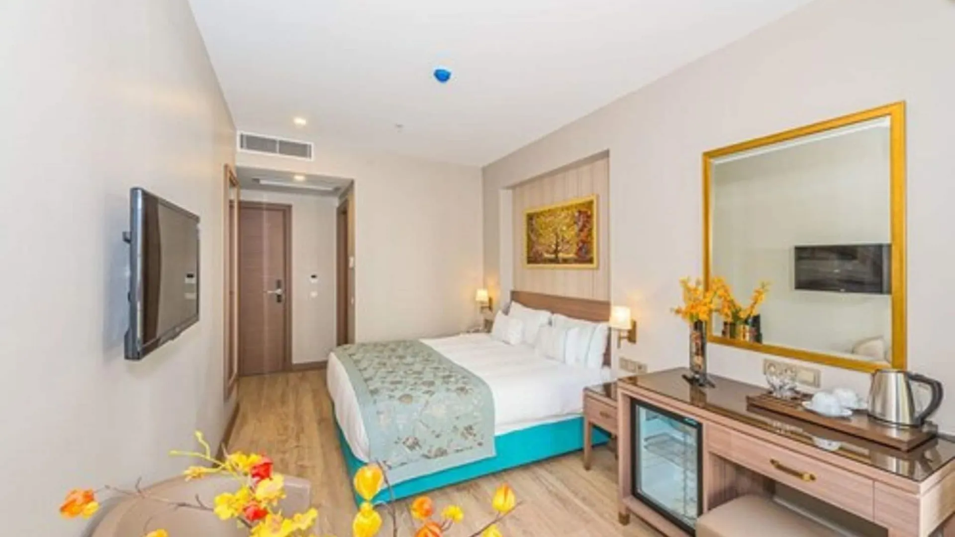 Taximist Hotel Istanbul